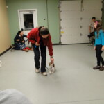 Unmistaken Stars MA Puppy Kindergarten Hubbardston MA