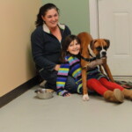 Unmistaken Stars Canine Dog Training Hubbardston MA