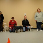Unmistaken Stars Group Dog Training Hubbardston MA