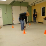 Unmistaken Stars Basic Obedience Classes Hubbardston MA