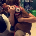 Unmistaken Stars - Service Dogs