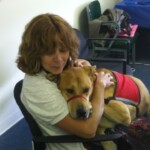 Unmistaken Stars - Service Dogs MA