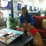 Unmistaken Stars Assistance Dog Training Hubbardston MA