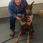 Unmistaken Stars MA Private Dog Lessons Hubbardston MA